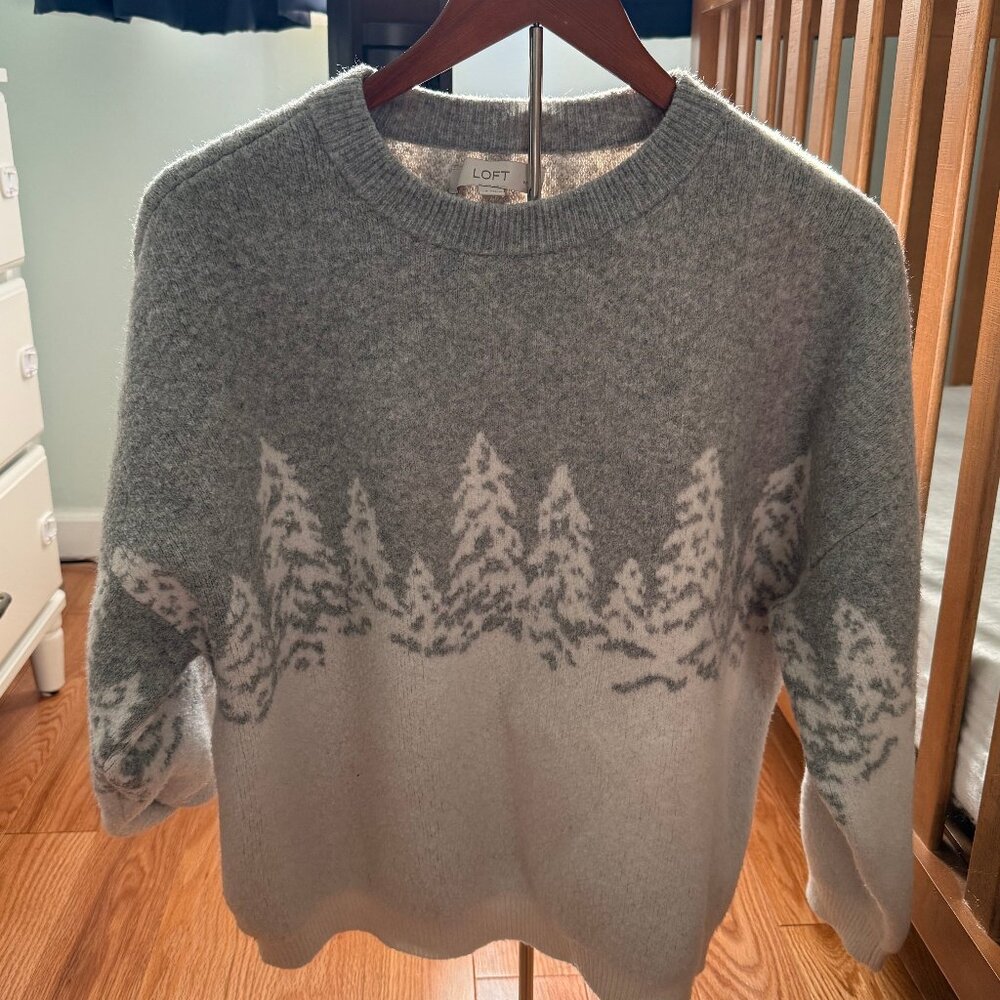 LOFT Women's Winter Sweater--Petite Large